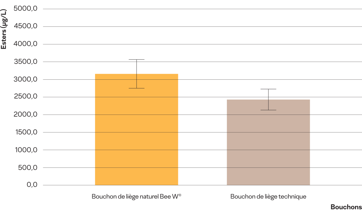 CONSTANCE D'UNE BOUTEILLE À L'AUTRE