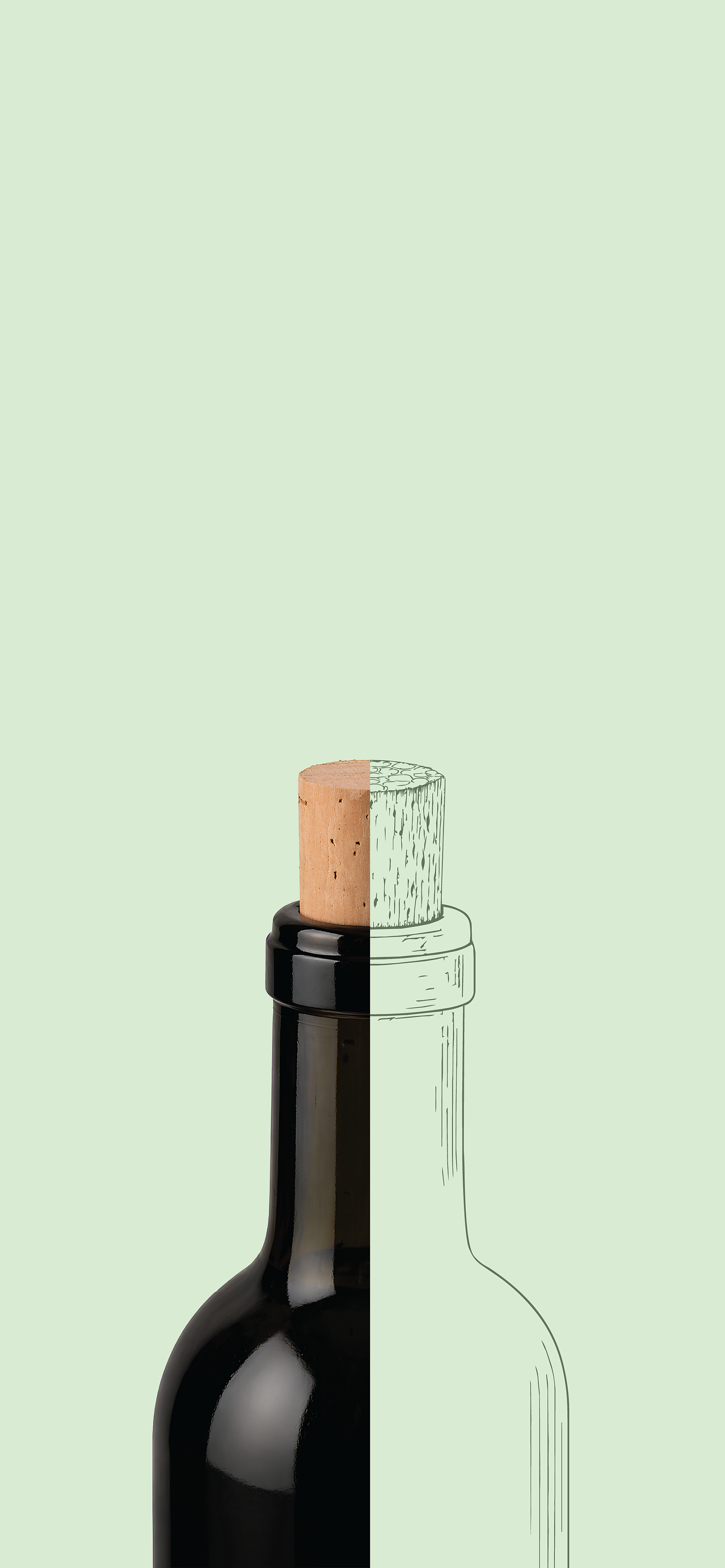 Natural cork stoppers