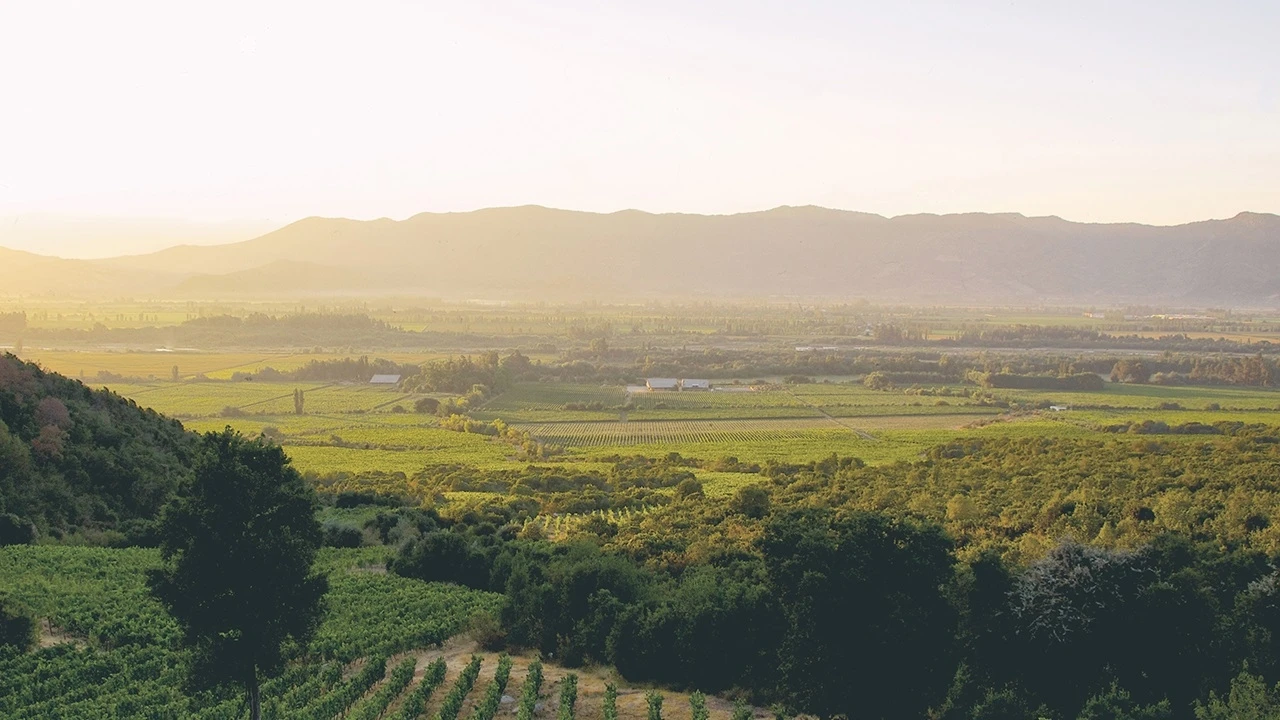 Emiliana - Perseverance & Sustainability 
