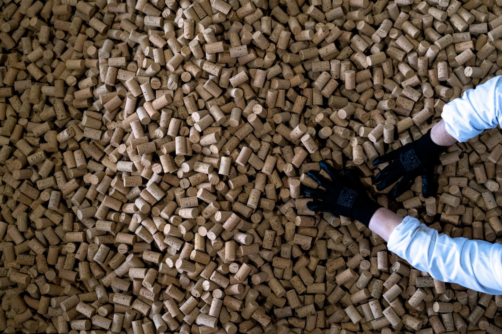 Sogrape and Amorim Cork join forces to raise awareness of cork stoppers recycling
