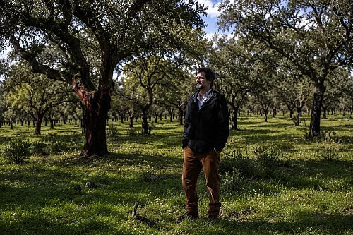Montados bem geridos são uma reserva de carbono para o futuro