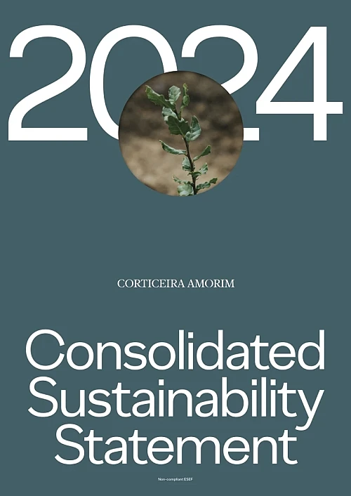 Consolidated Sustainability Statement 2024