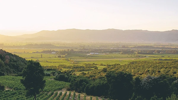 Emiliana - Perseverance & Sustainability 