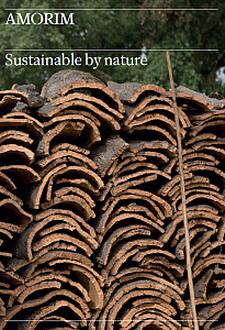 Sustainability Factsheet