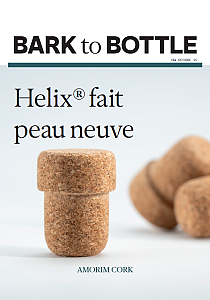 Bark to Bottle #54