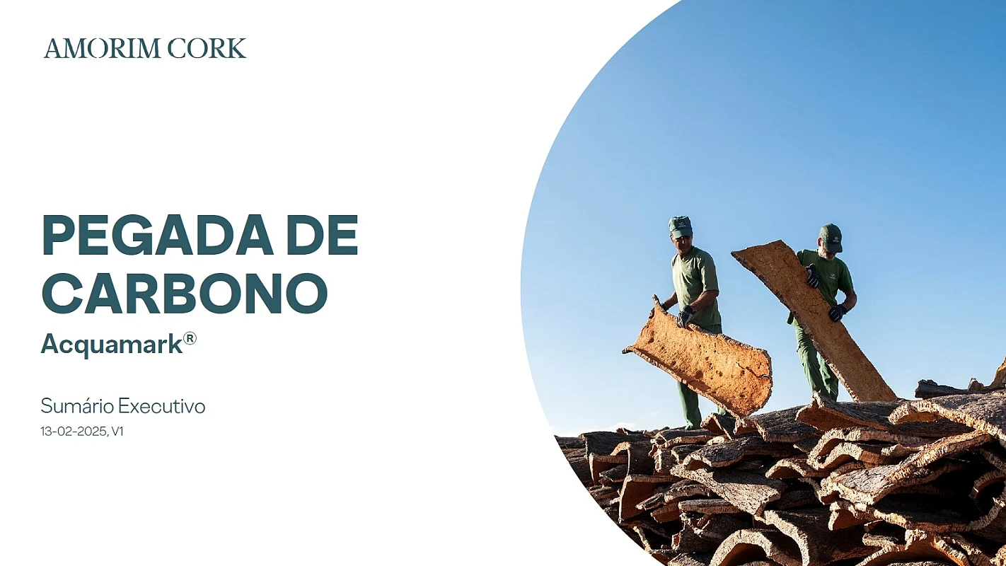 Pegada de Carbono Acquamark Sumário Executivo 13-02-2025 v1