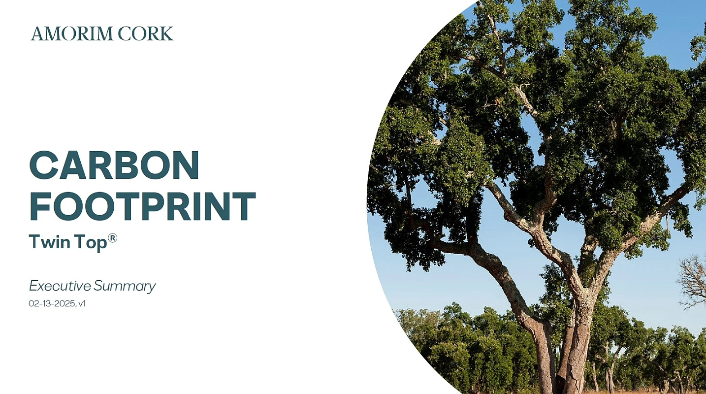 Carbon Footprint Twin Top Executive Summary 02-13-2025 v1