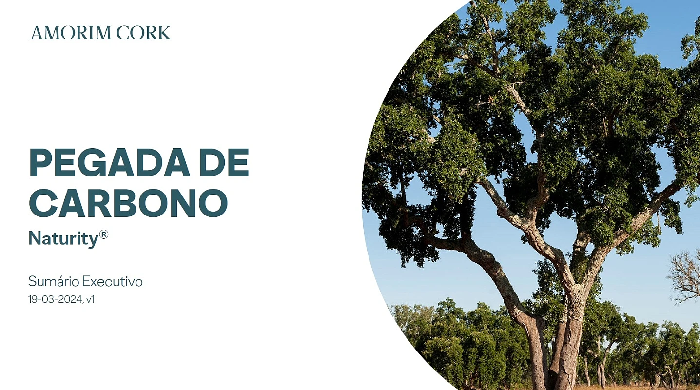 Pegada de Carbono Naturity Sumário Executivo 19-03-2024 v1