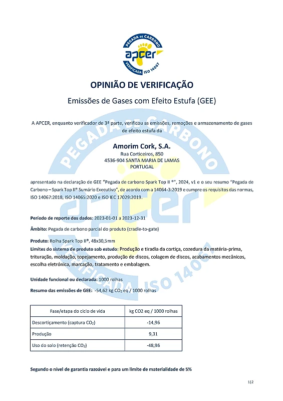 Pegada de carbono Spark Top II 13-02-2025 v1