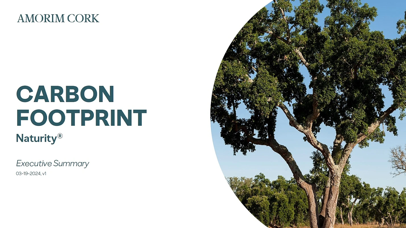 Carbon Footprint Naturity Executive Summary 03-19-2024 v1