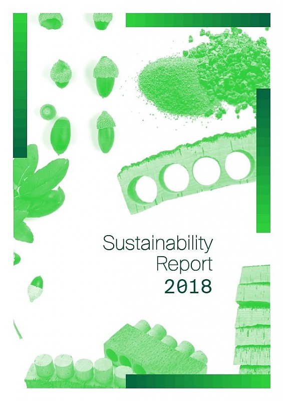 Informe de sostenibilidad de 2018