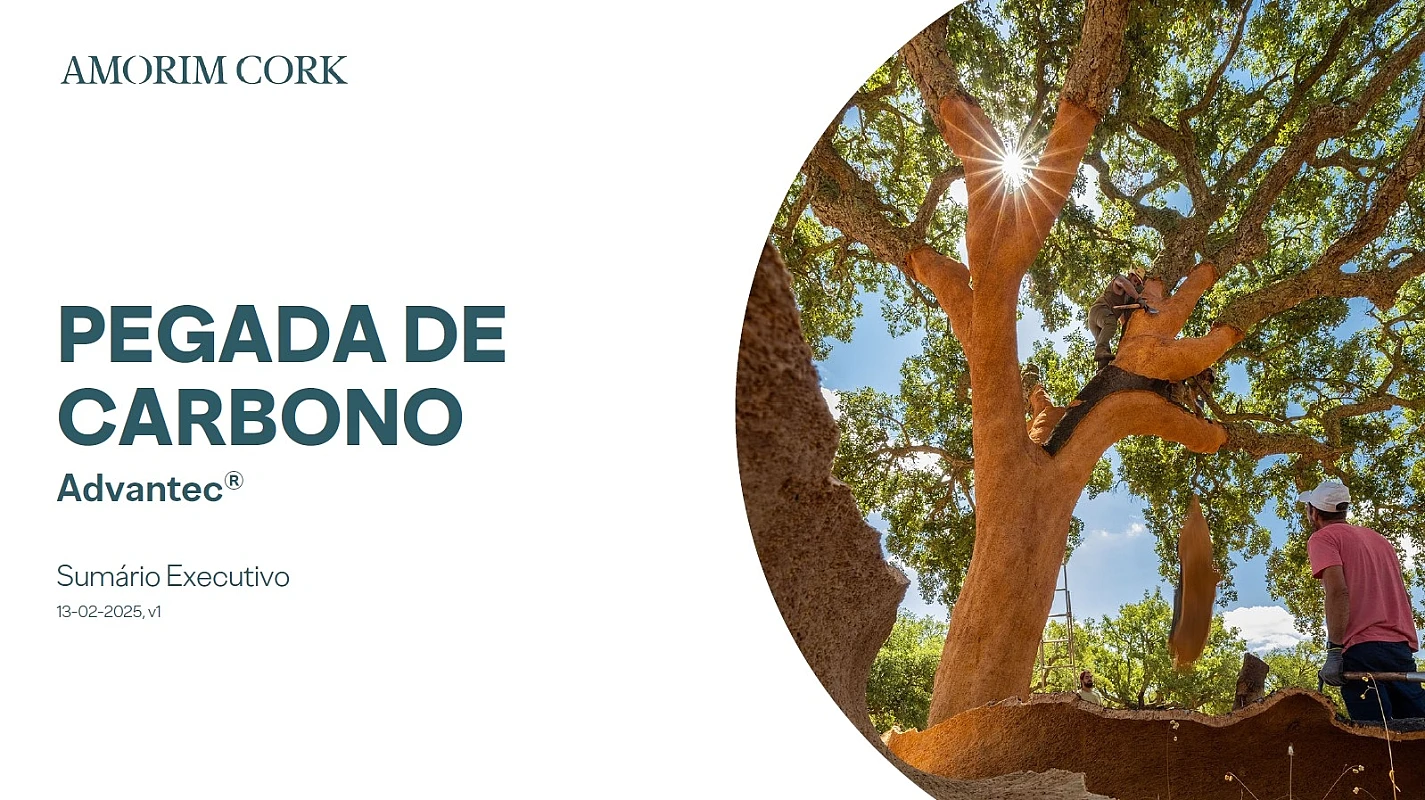 Pegada de Carbono Advantec Sumário Executivo 13-02-2025 v1