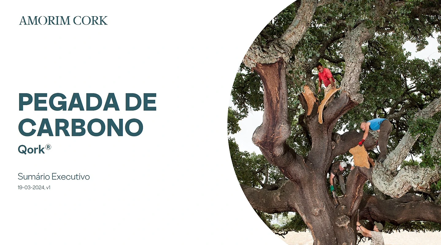 Pegada de Carbono Qork Sumário Executivo 19-03-2024 v1