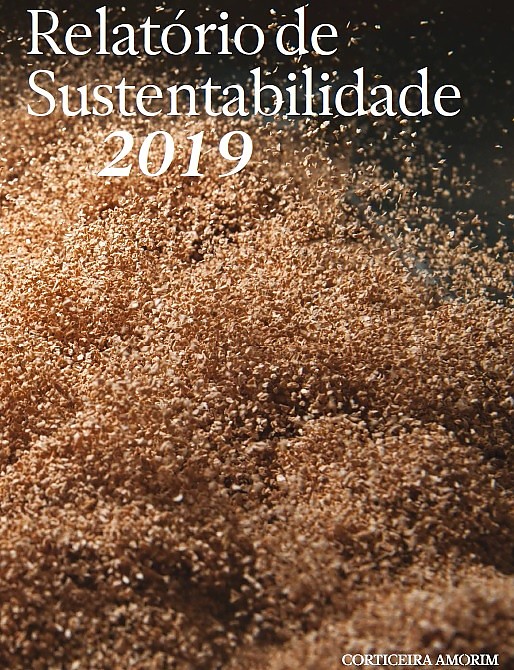 Relatório de sustentabilidade 2019