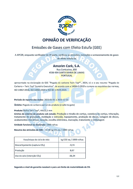 Pegada de carbono Twin Top 13-02-2025 v1