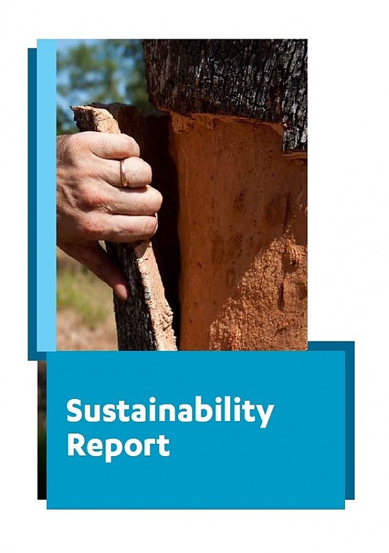 Informe de sostenibilidad de 2016-2017