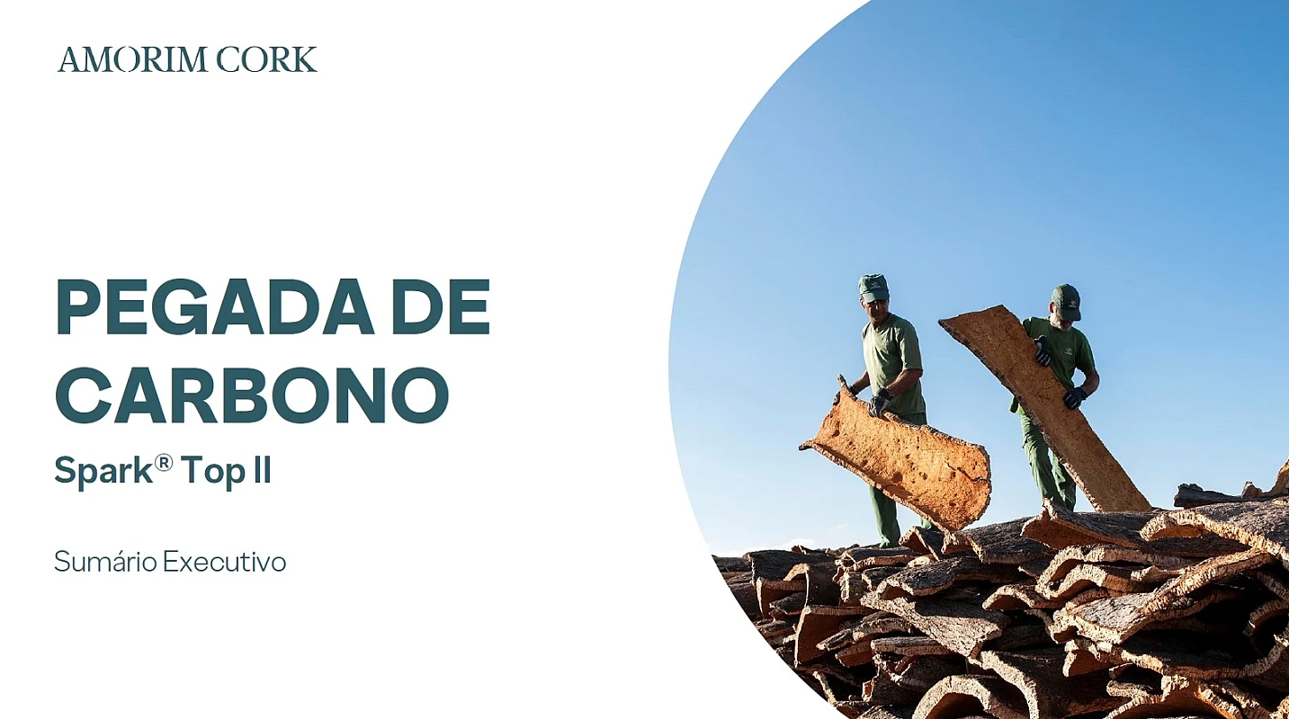 Pegada de Carbono Spark Top II Sumário Executivo 13-02-2025 v1