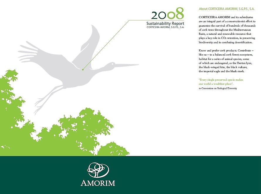 Informe de sostenibilidad de 2008