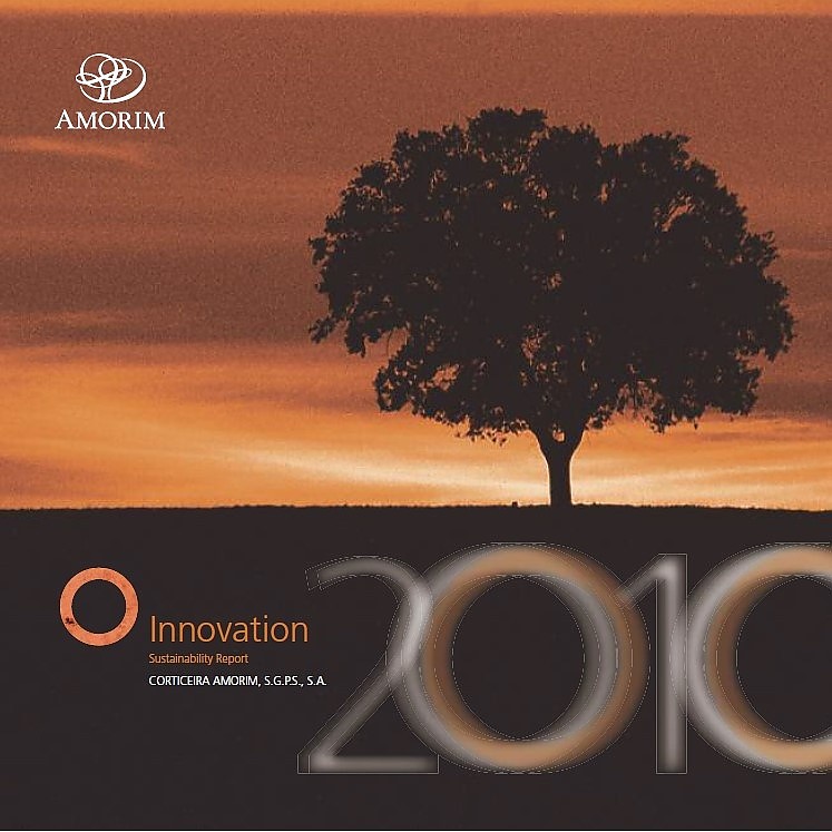 Informe de sostenibilidad de 2010