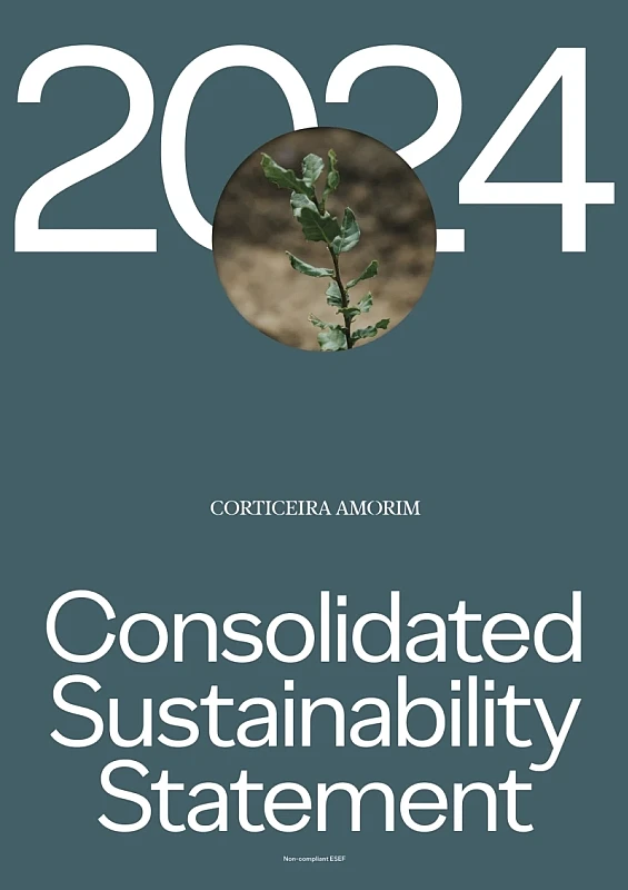 Consolidated Sustainability Statement 2024