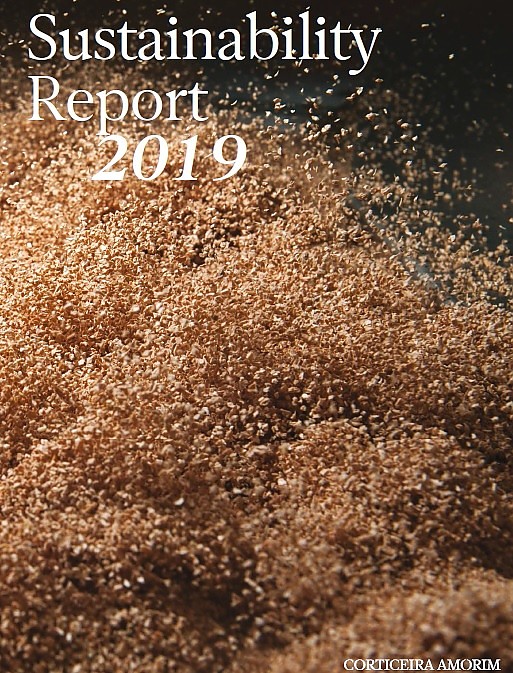Informe de sostenibilidad 2019