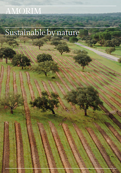 Sustainability Factsheet