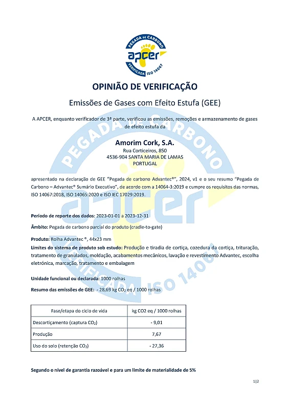 Pegada de carbono Advantec 13-02-2025 v1