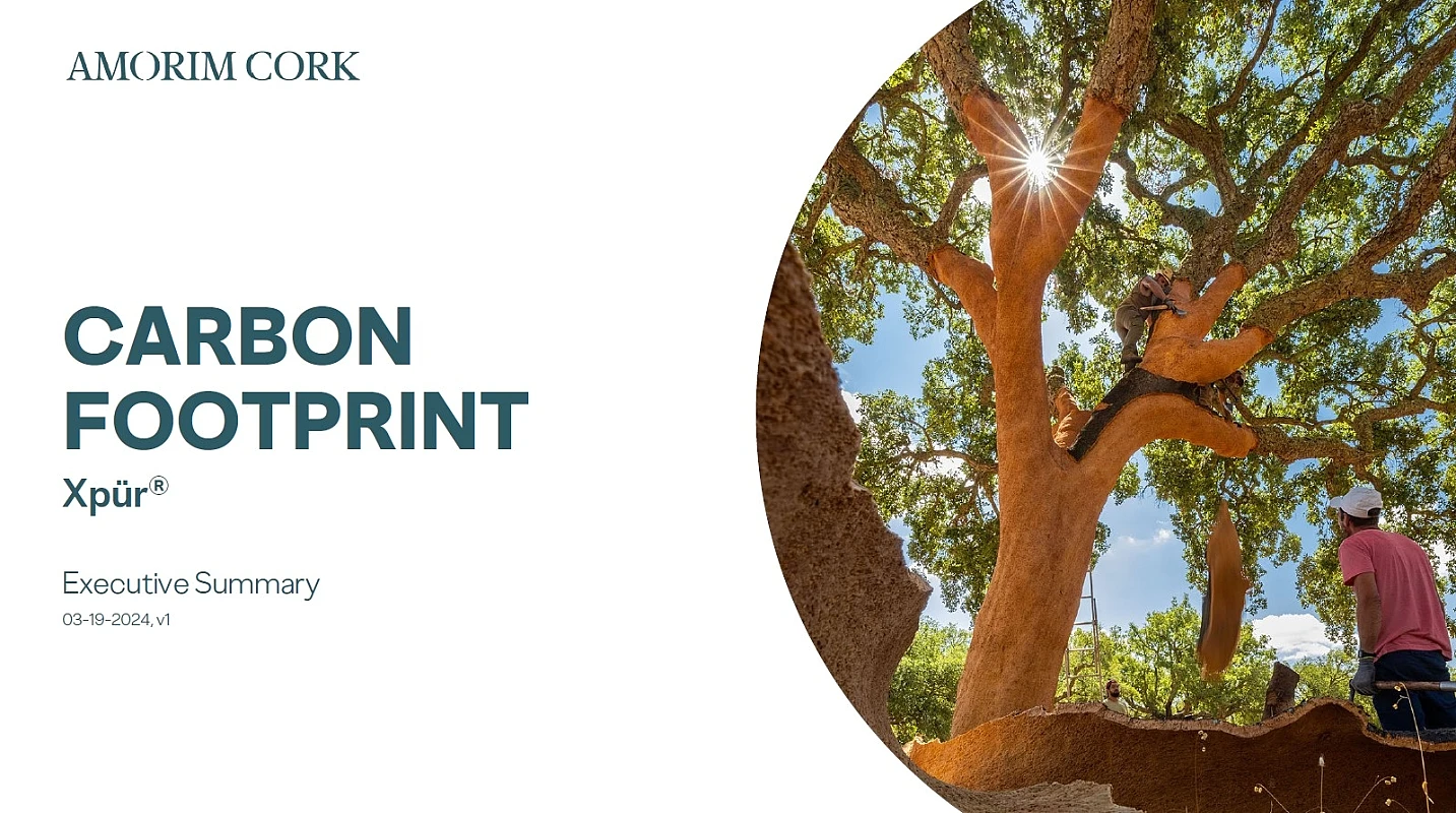Carbon Footprint Xpür Executive Summary 03-19-2024 v1