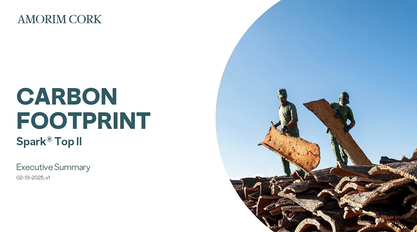 Carbon Footprint Spark Top II Executive Summary 02-13-2025 v1