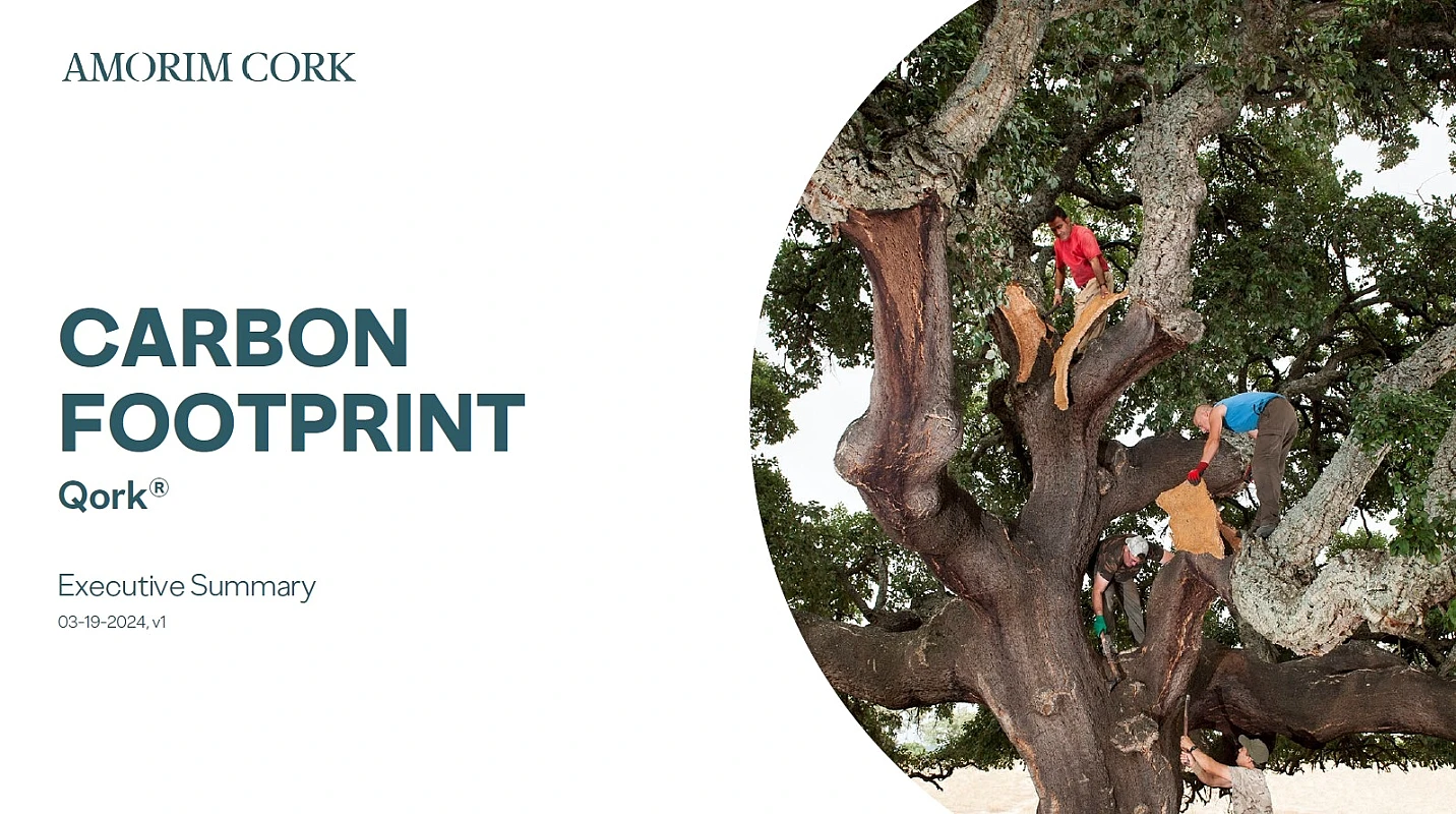 Carbon Footprint Qork Executive Summary 03-19-2024 v1