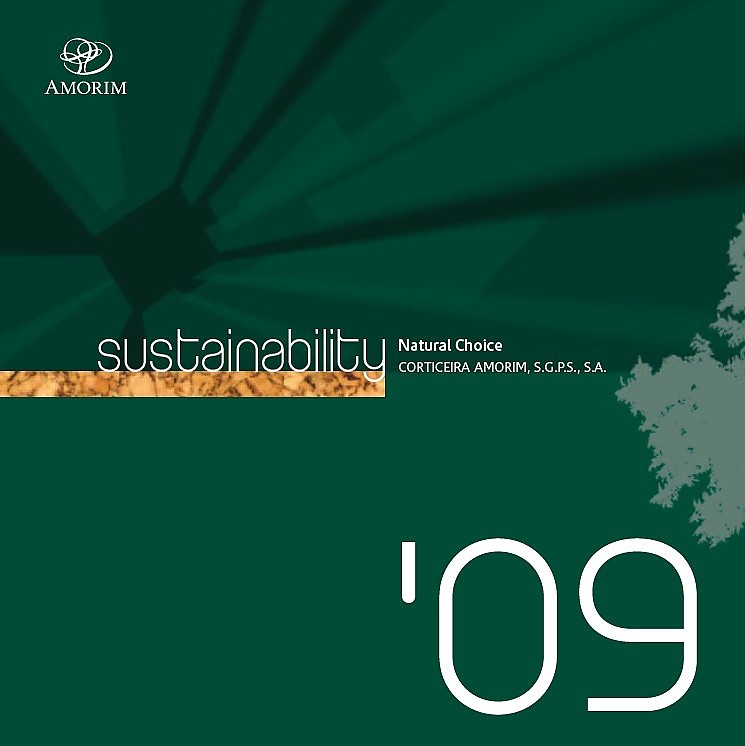 Informe de sostenibilidad de 2009