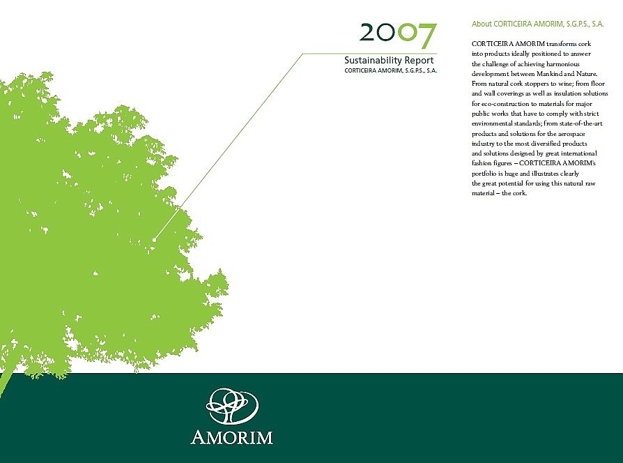 Informe de sostenibilidad de 2007